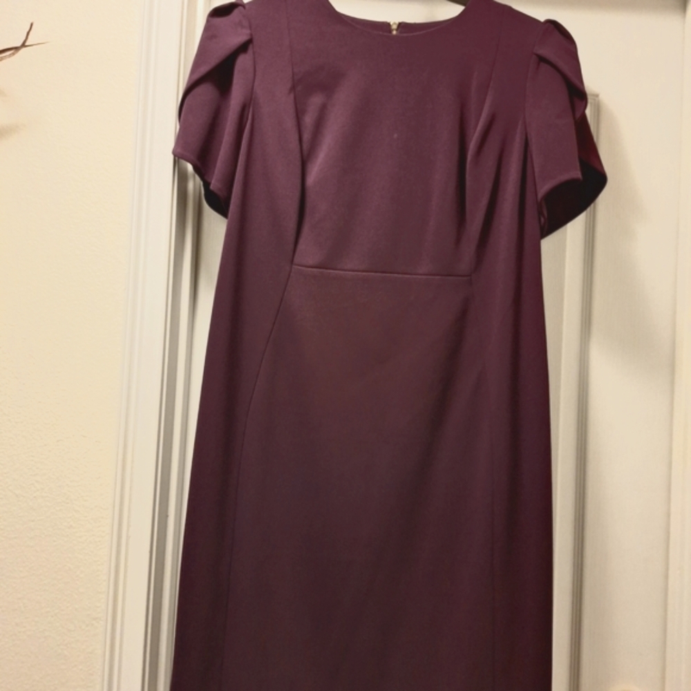 Calvin Klein Sheath Dress In Plum With Tulip Sleeves